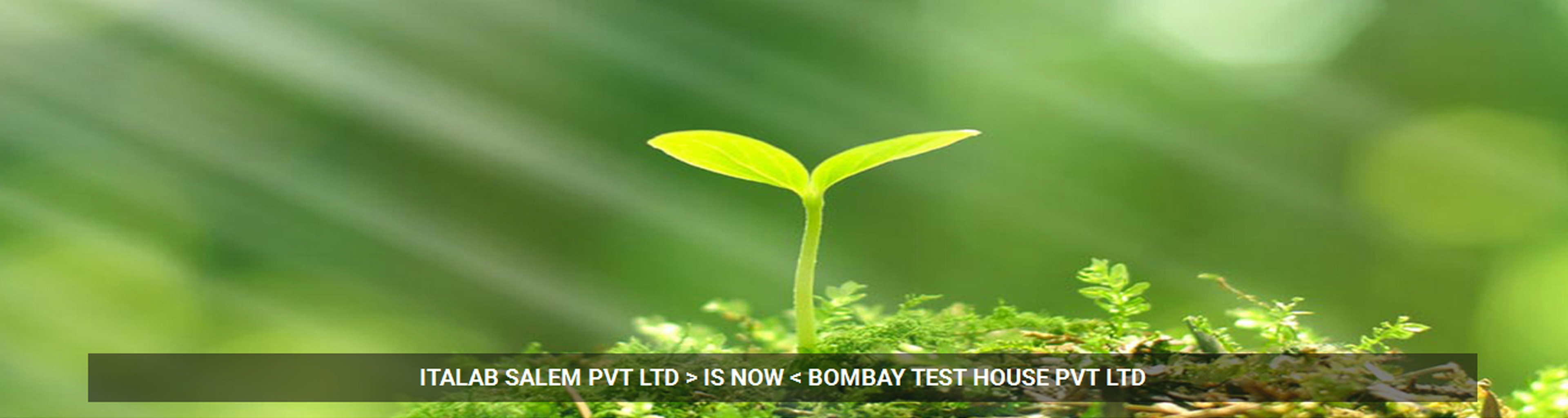 > </div>
<div class=